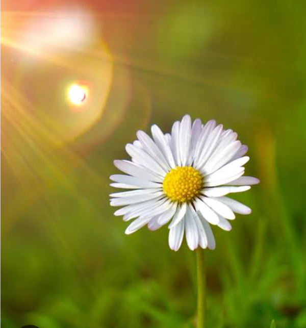 Woman, wife & mother – 1